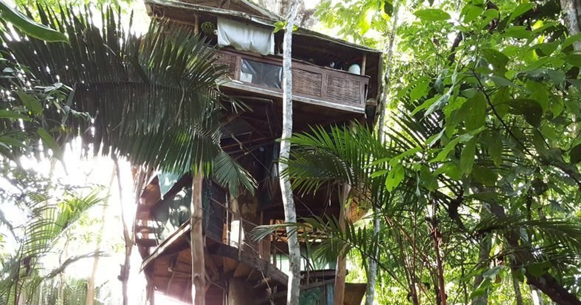 Breathtaking Tree House Vacation Rentals You Can Actually Afford HuffPost