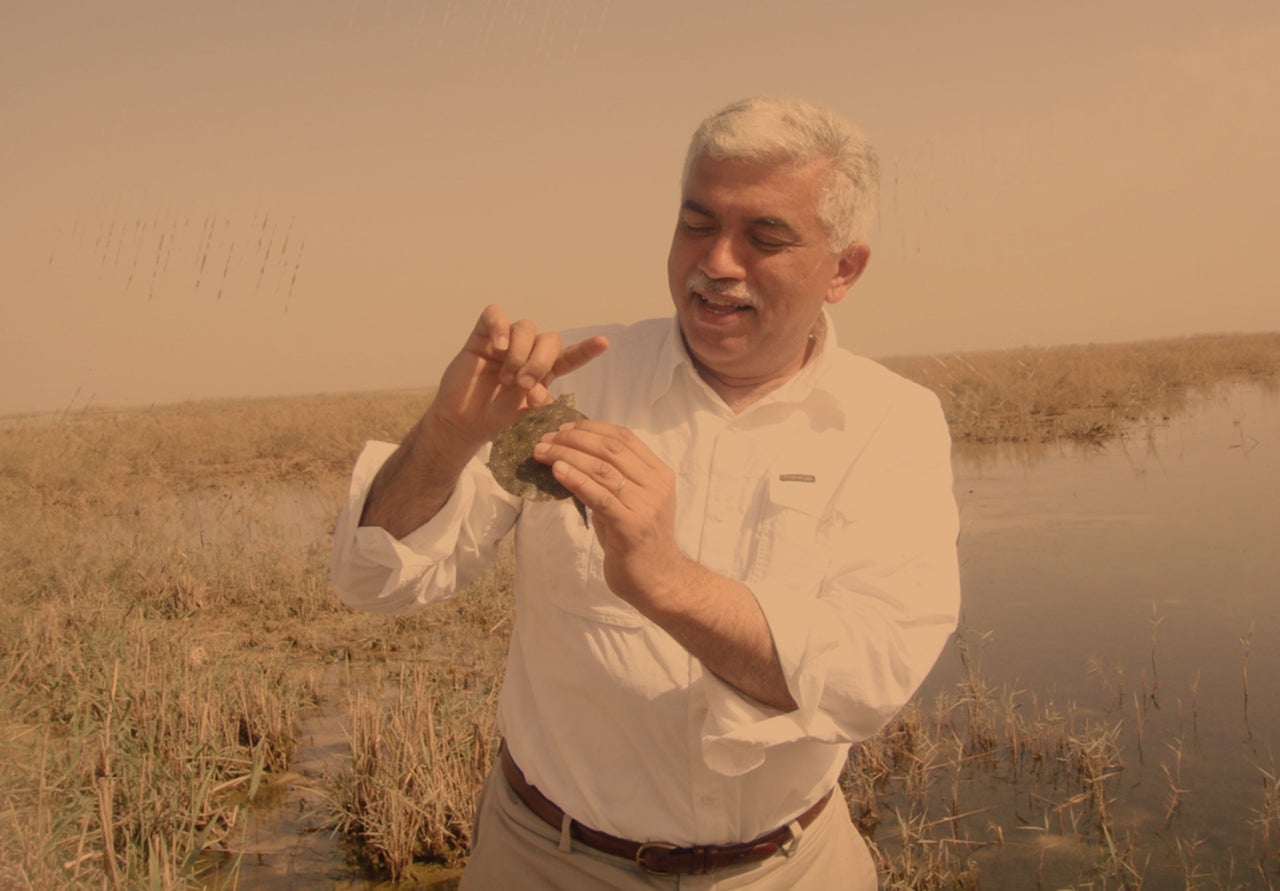 Dr. Azzam Alwash with a turtle in the central marshes in Iraq.