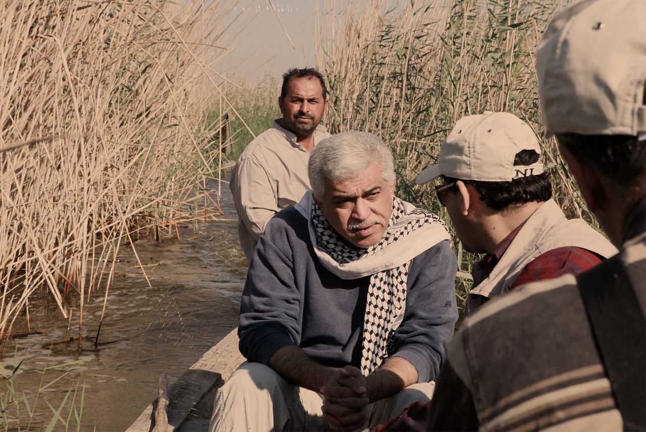 Dr. Azzam Alwash tours marshlands in Iraq. 