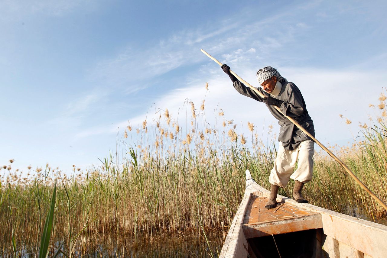 Marsh Arab Abu Sabah paddles his boat at the Chebayesh marsh in Nassiriya, 300 km (185 miles) southeast of Baghdad on February 15, 2013.