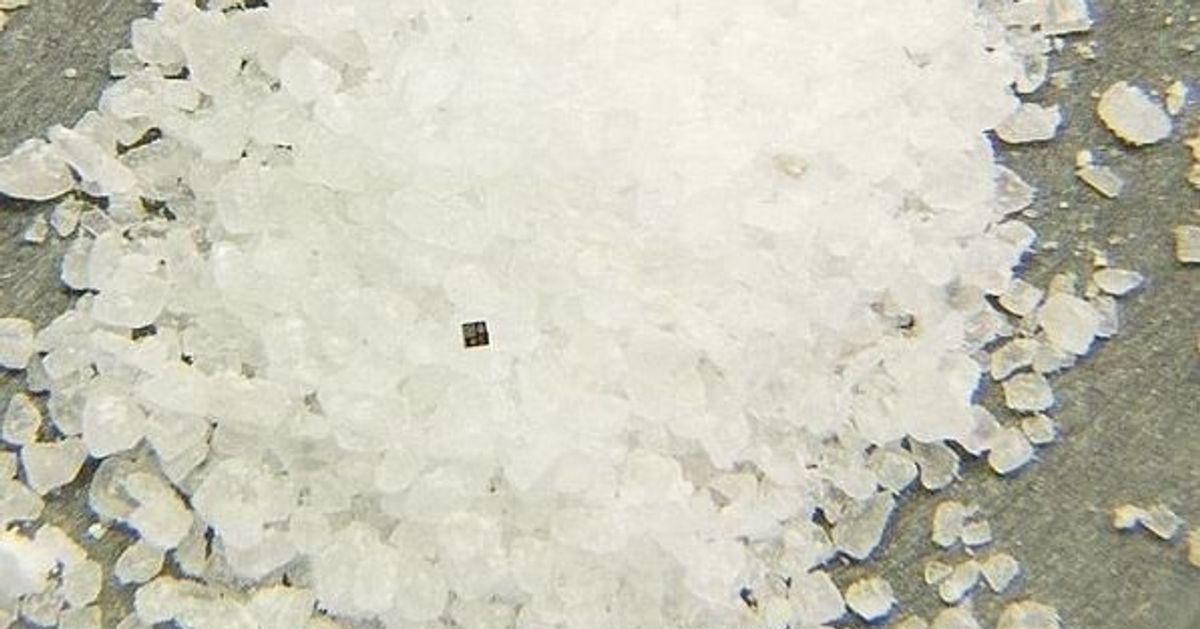 The World's Tiniest Computer Is Smaller Than A Grain Of Salt