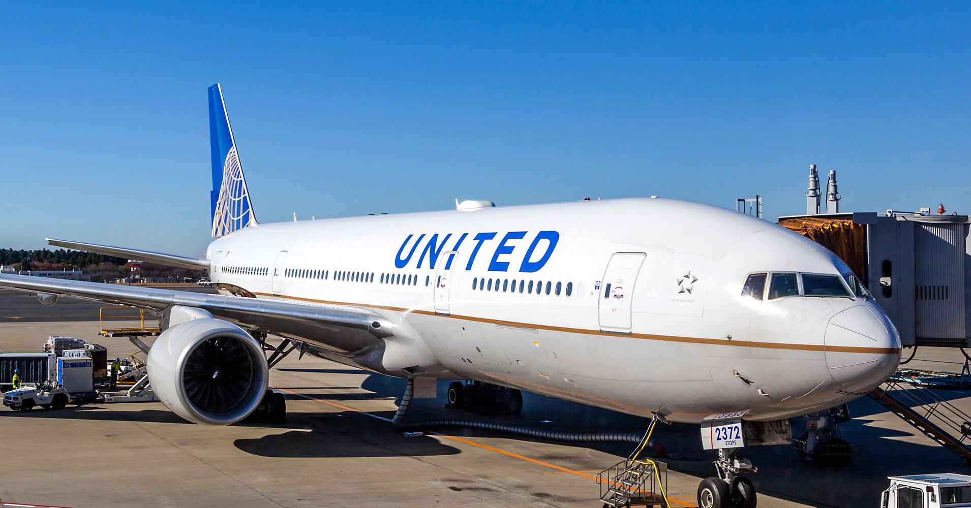 United Airlines Temporarily Suspends Cargo Travel For Pets ...