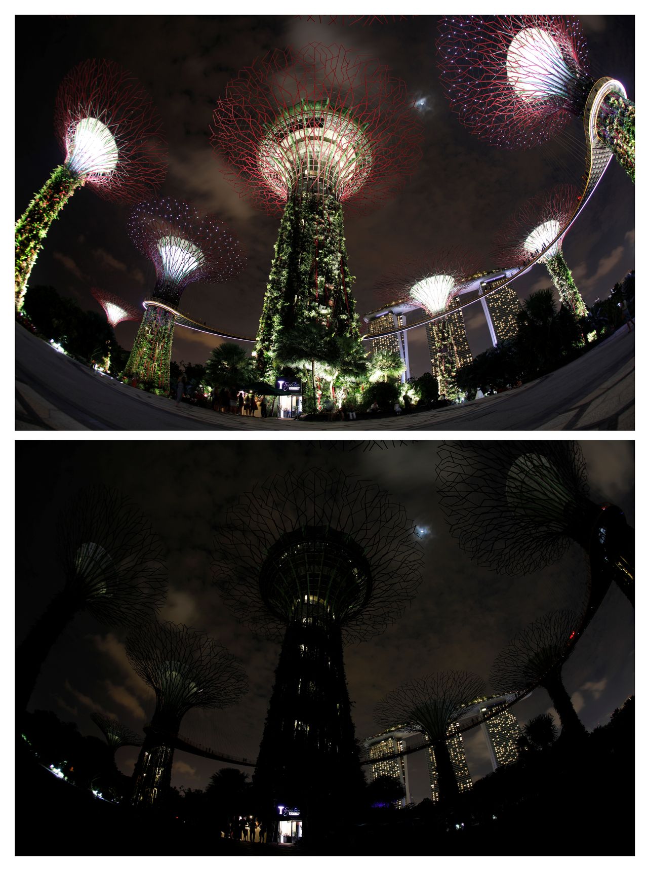 Giant concrete tree-like structures called 'Supertrees' are seen before (top) and after the lights were dimmed to mark Earth Hour at Singapore's Gardens by the Bay in Singapore.