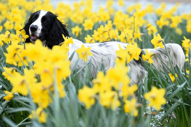 Temperatures are below average in parts of Britain for this time of year 