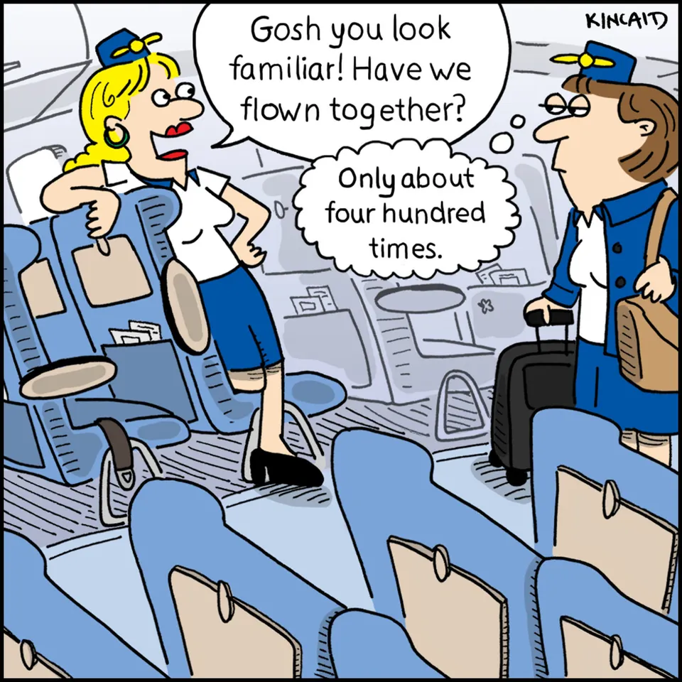 Keep calm and cross check  Flight attendant humor, Flight attendant life,  Aviation humor