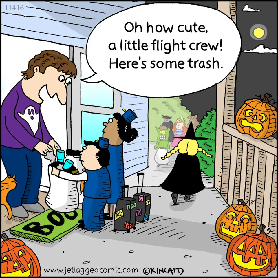 25 Hilarious Comics About Life As A Flight Attendant Huffpost Life