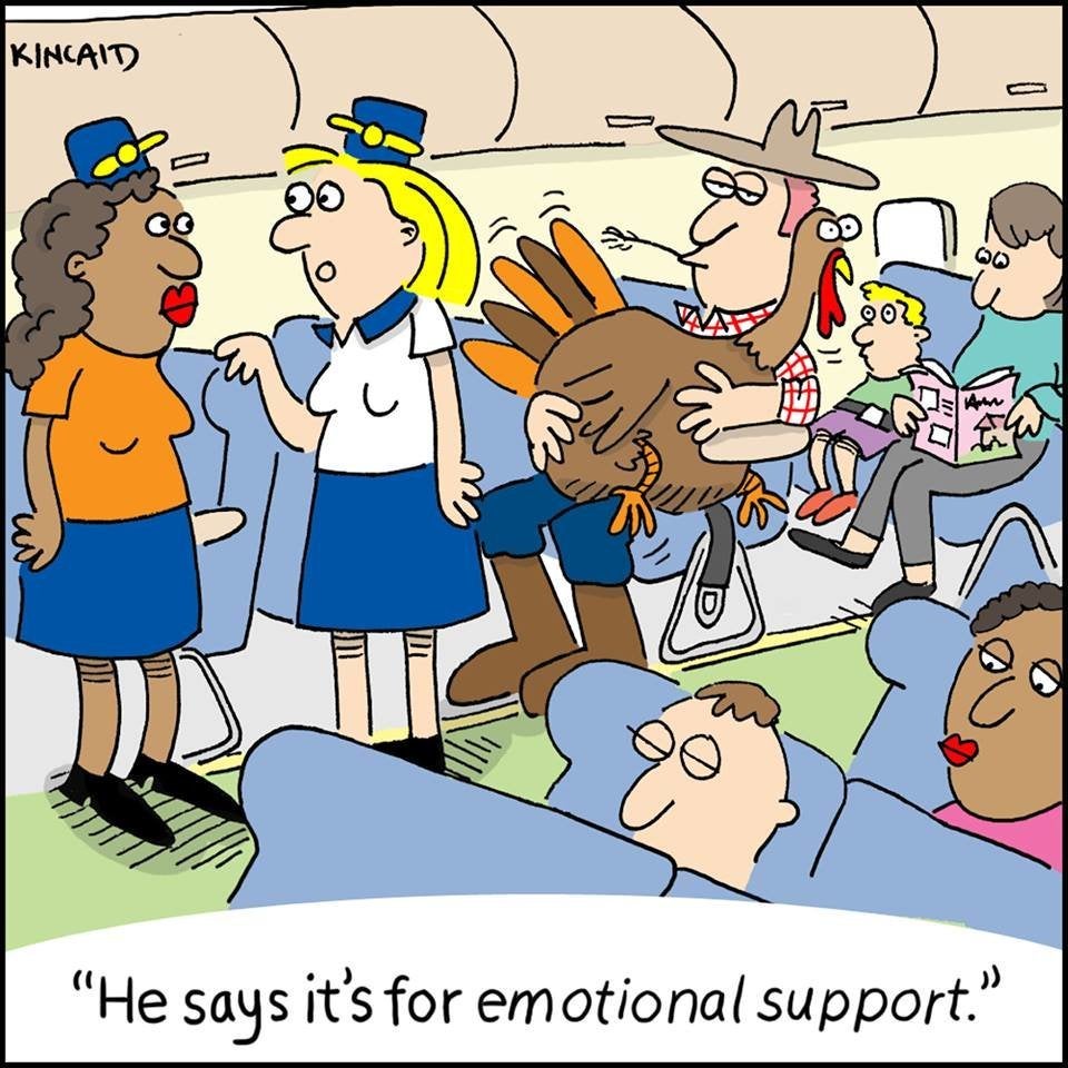 25 Hilarious Comics About Life As A Flight Attendant | HuffPost Life 25 Hilarious Comics About Life As A Flight Attendant | HuffPost Life