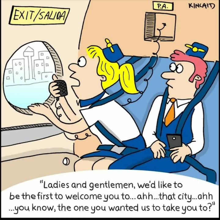 25 Hilarious Comics About Life As A Flight Attendant Huffpost 