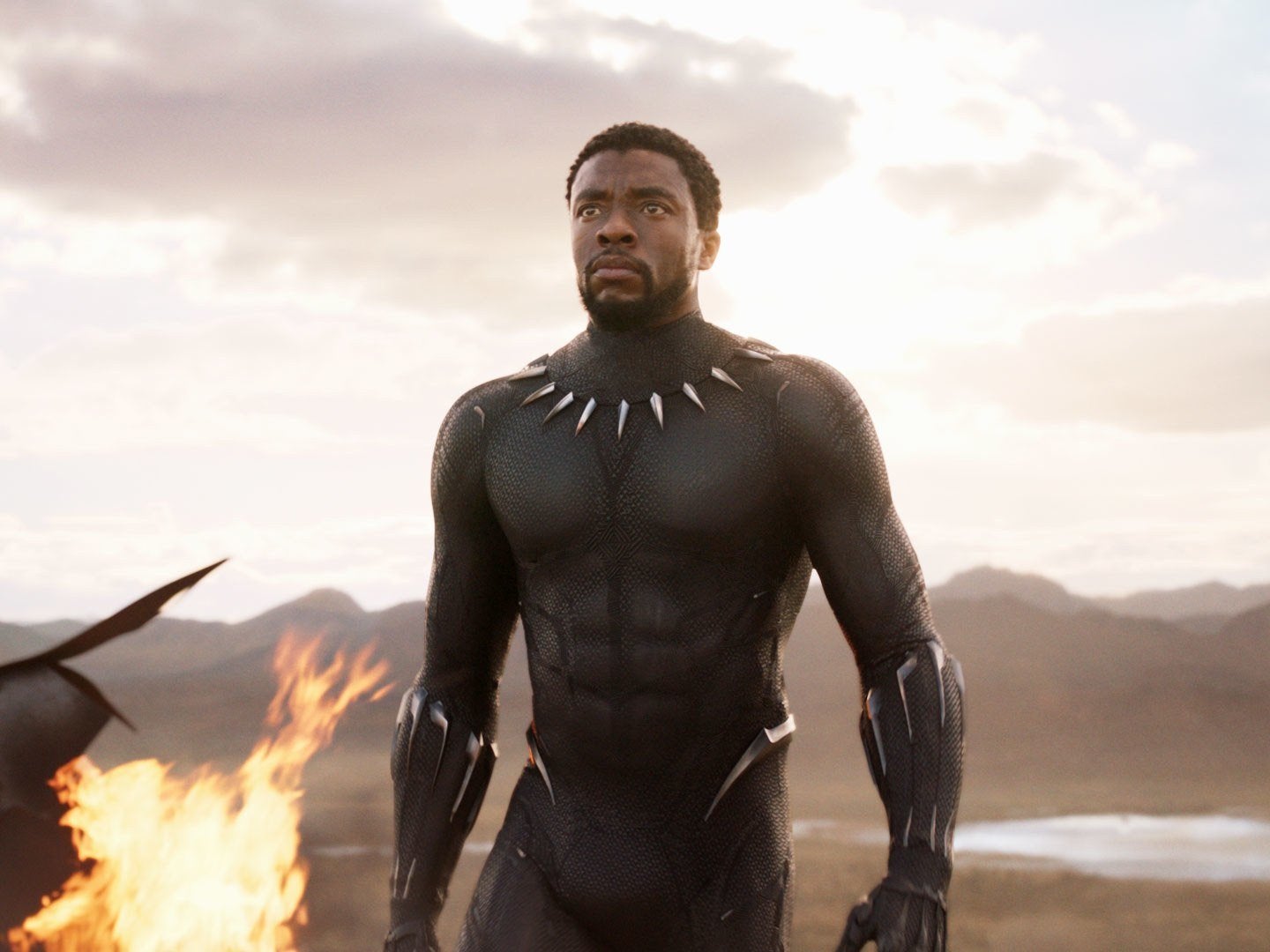 'Black Panther' has broken yet another record 'Black Panther' has broken yet another record