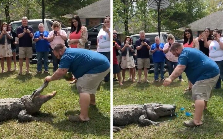 Mike Kliebert with Sally the alligator at his baby's gender reveal party.