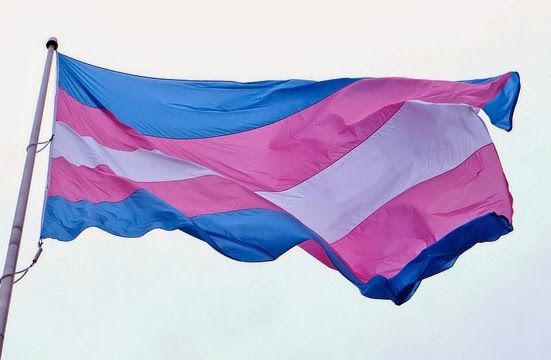 Transgender Flag