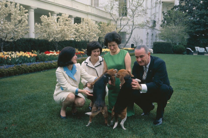 The Johnson family posing with their beagles in 1964.