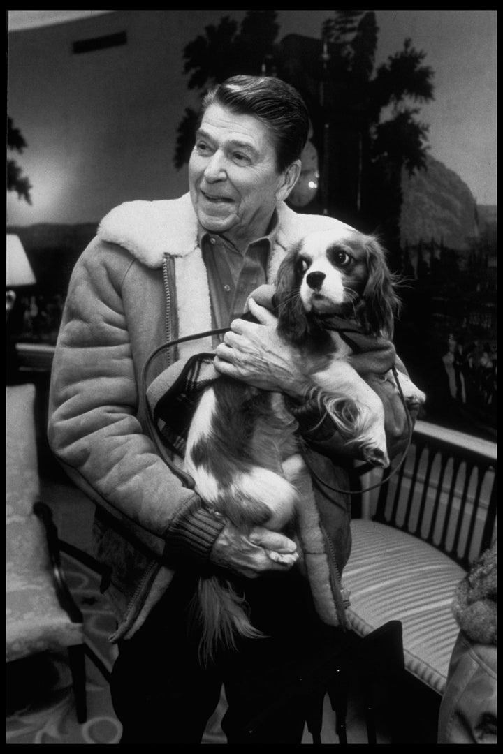 Reagan holds Rex in the Diplomatic Reception Room of the White House in 1986.