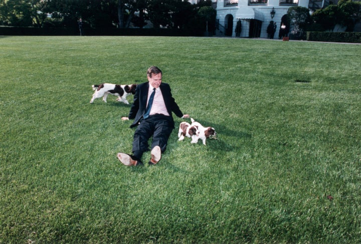 Bush on the White House lawn with Millie and her puppies. 