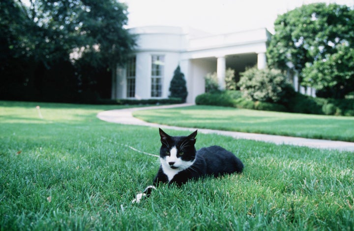 Socks at the White House in 1994