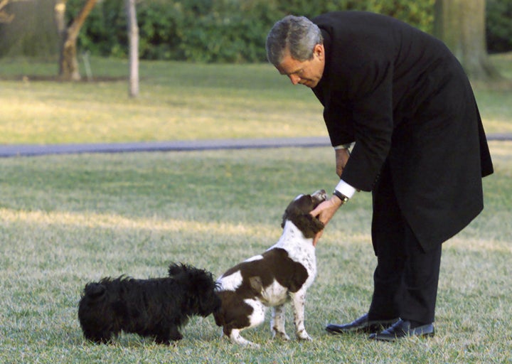 Bush with Spot and Barney at the White House in 2001.