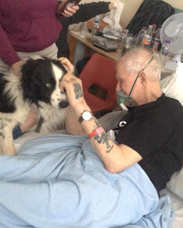 Peter Robson was able to see his beloved border collie Shep one last time.