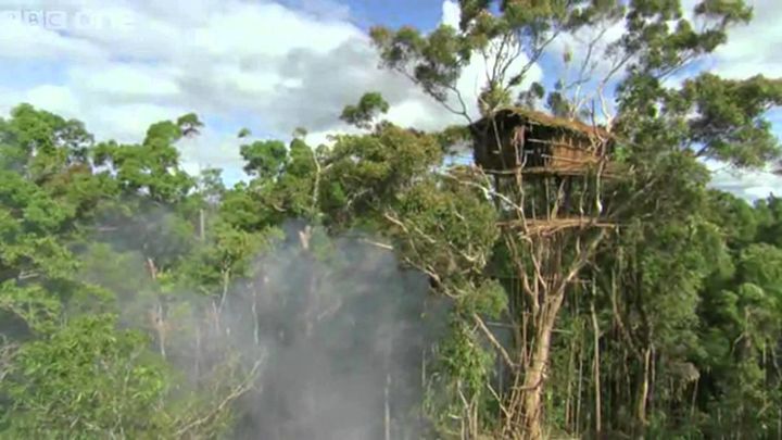 The treehouses were set up for the cameras.