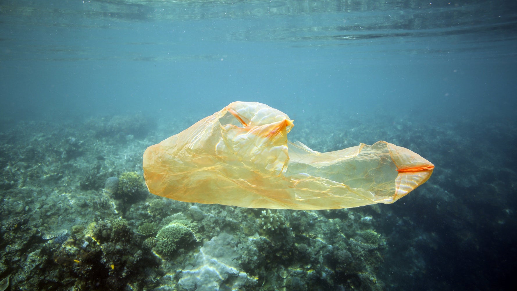 Whiting On Soft Plastics Plastic Bag Litter In Seas Around UK Has Dropped Since 5p Charge