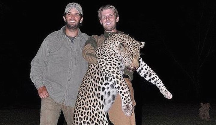 Eric and Donald Trump Jr. pose with one of their kills.