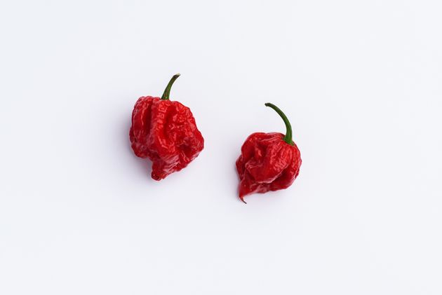 The Carolina Reaper is small but deadly.