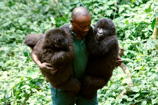 A ranger pictured in 2010, just north of the eastern Congolese city of Goma.