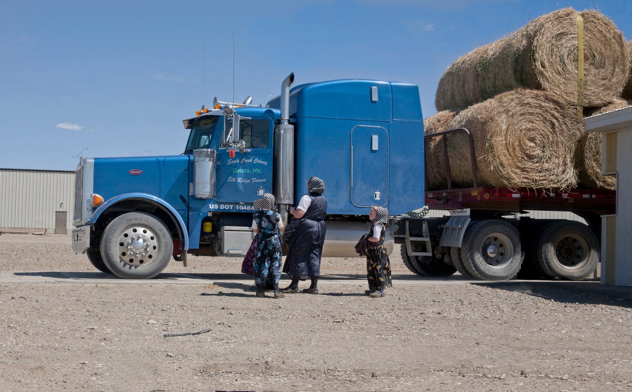 Hutterite colonies earn income mainly through large-scale agriculture.