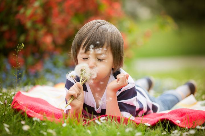 Happy cute caucasian boy, blowing dandelion outdoors in spring park