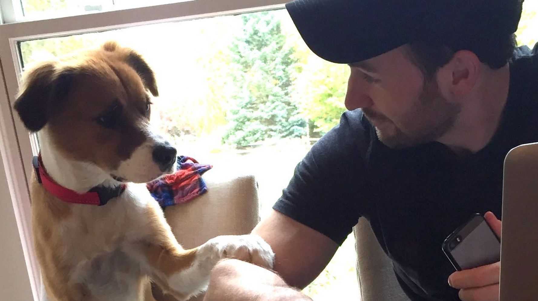 Chris Evans Gives Adorable Interview With His Dog Dodger 