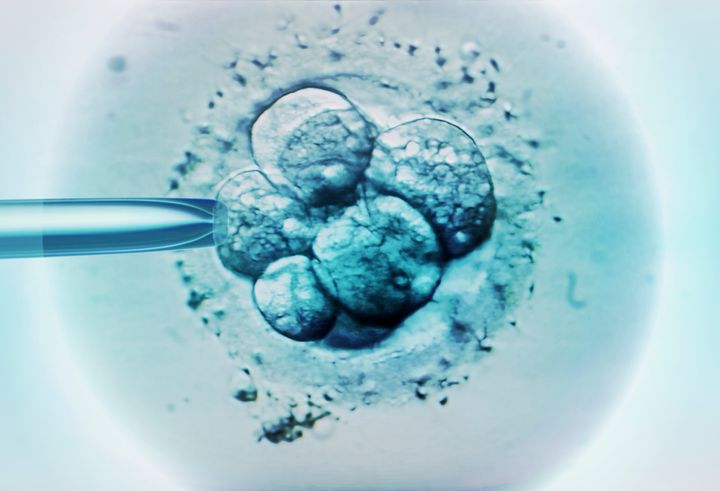 The couple were having fertility treatment at the time of their deaths and had four frozen embryos in storage 