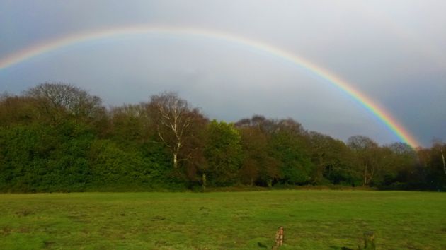 Sutton Park. 