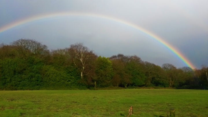 Sutton Park. 