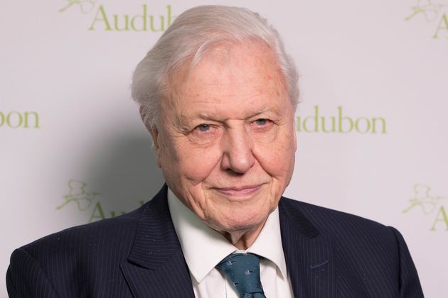 Sir David Attenborough