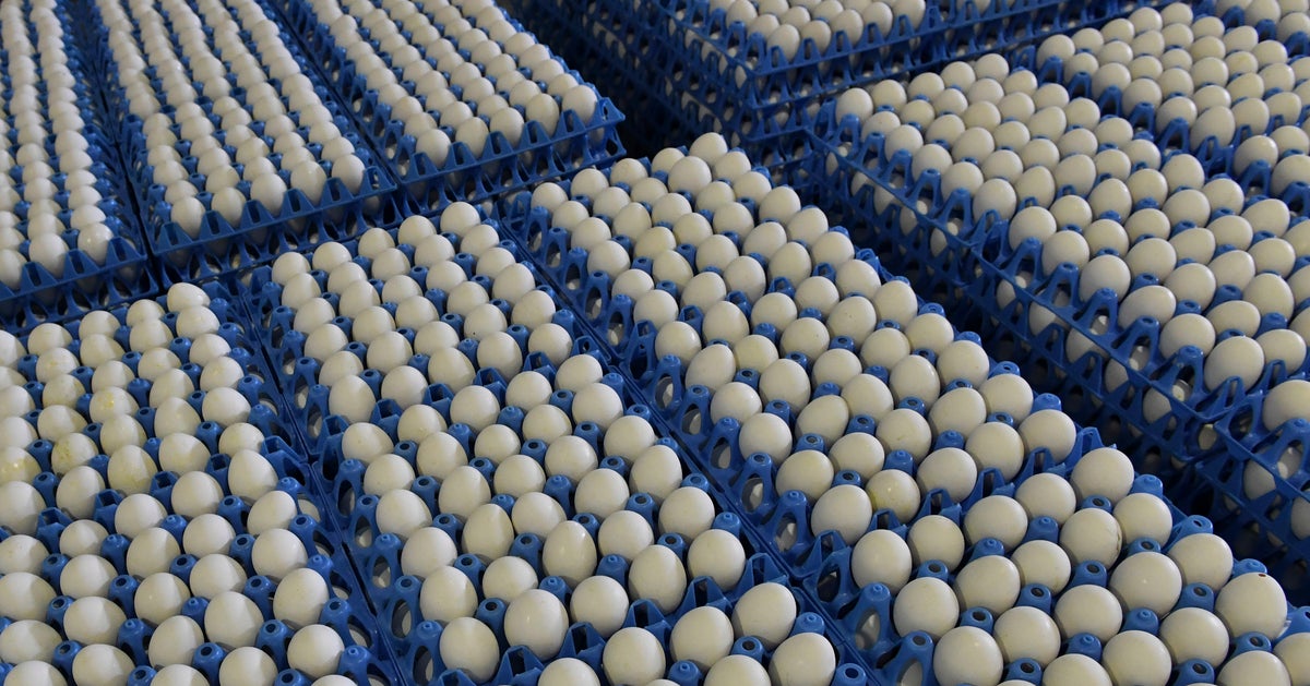 Nearly 207 Million Eggs Recalled Over Salmonella Fears HuffPost