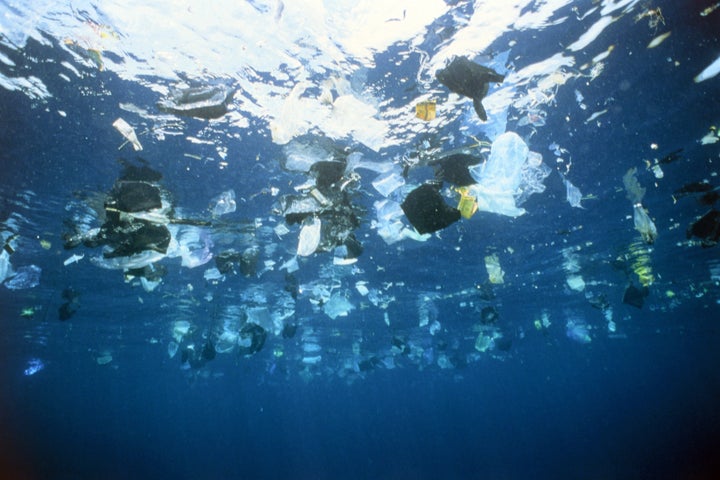 More than 8 million tons of plastic enters the oceans each year. By 2050 it is predicted there will be more plastic than fish in the ocean.