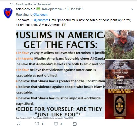 Anti-Muslim posts retweeted from American Patriot, an account associated with Patrick Stein.
