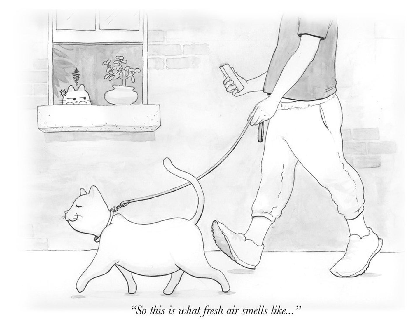 5 Ways To Get Your Cats The Exercise They Need | HuffPost Health