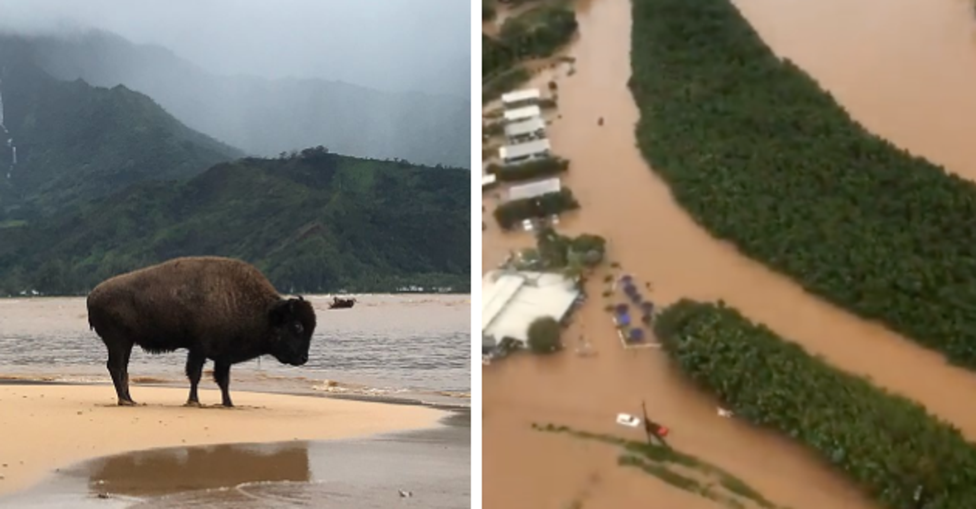 Historic Floods Landslides Devastate The Hawaiian Island