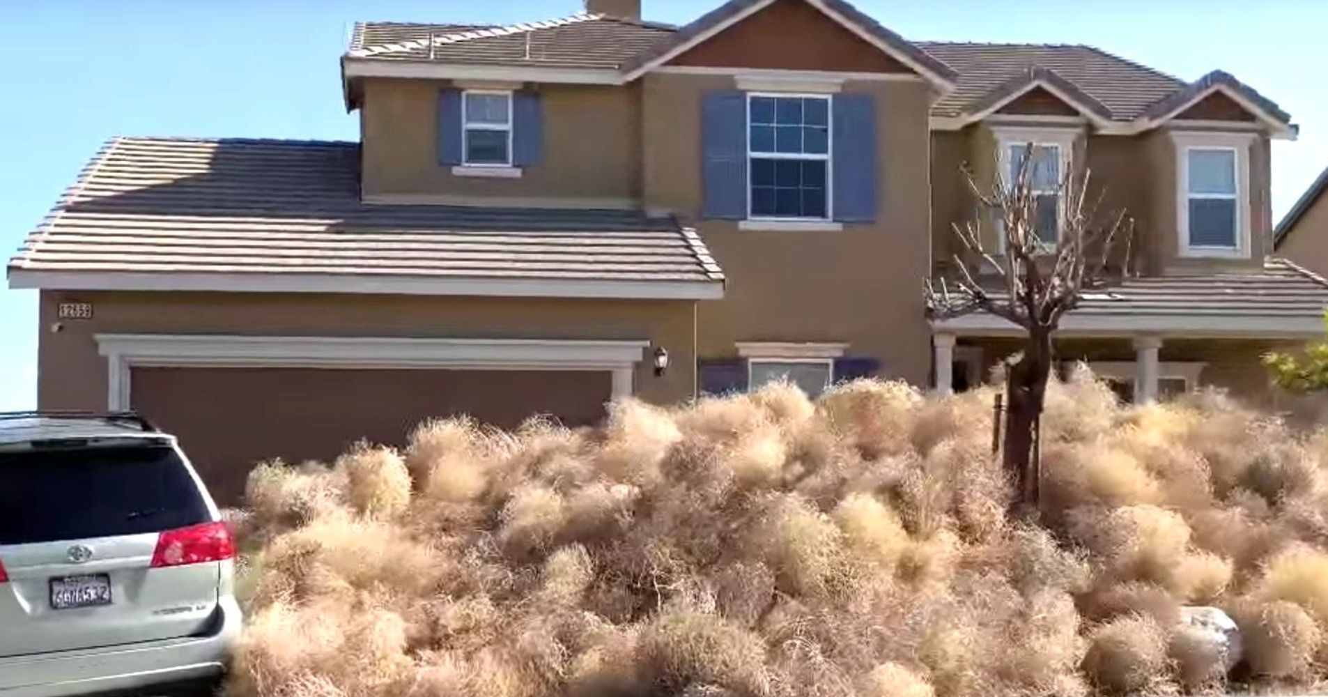 Terrifying Tumbleweeds Take Over California City, Trapping Residents ...