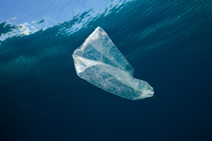<strong>Britain’s 5p charge for bags is estimated to take nine billion plastic bags out of circulation</strong>