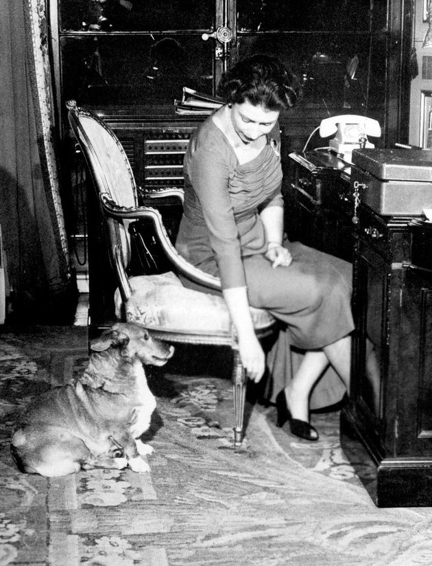 The Queen, pictured with Susan the Corgi