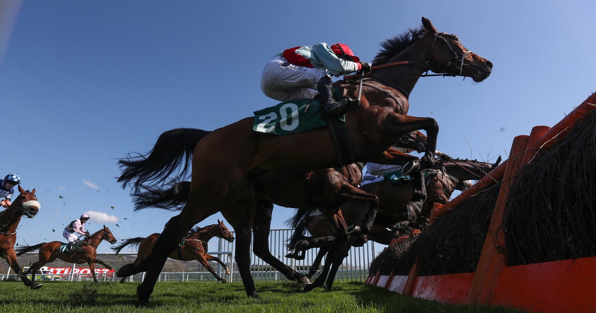 Cheltenham Race Abandoned After Horse 'Dame Rose' Dies On Hottest Day