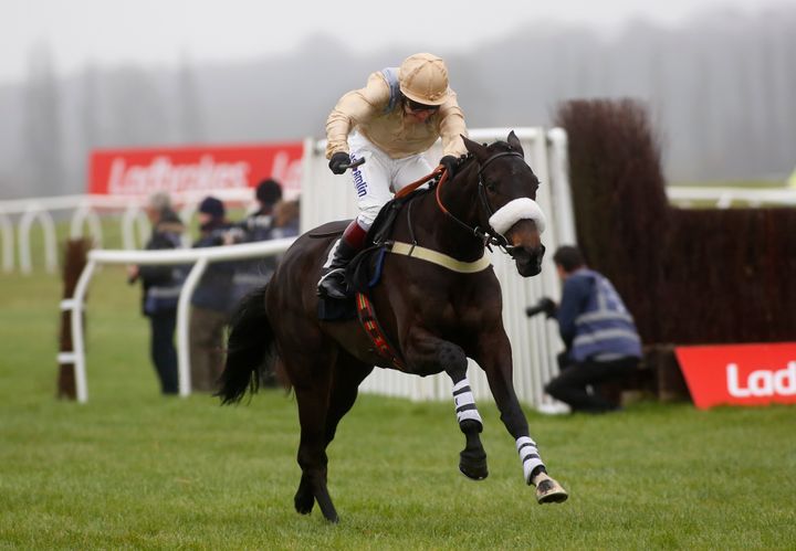 Dame Rose, pictured being ridden in a separate event, collapsed and died after racing in hot weather on Thursday.