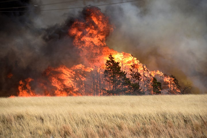 The Rhea Fire burns through a grove of red cedar trees near Seiling, Oklahoma, on April 17.