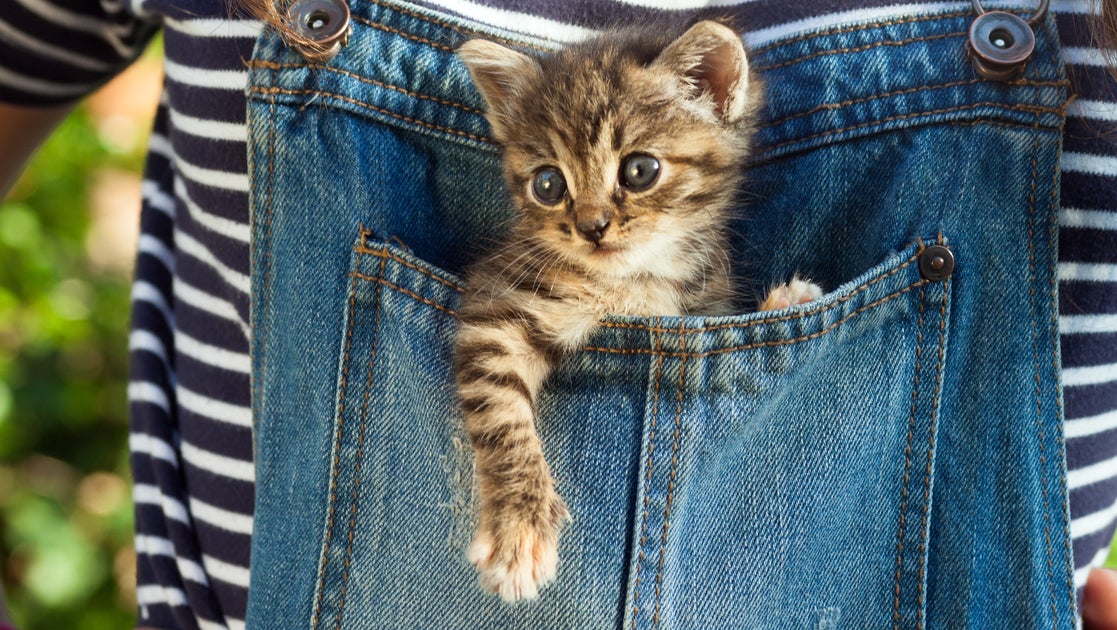 kids' pockets