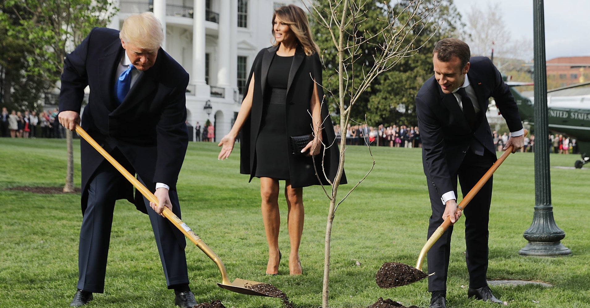 'Tree Hugger' Donald Trump Gets Mauled On Twitter Over Planting