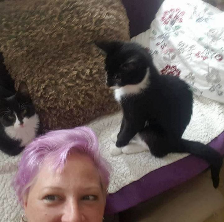 Amanda with two of the cats in her care.