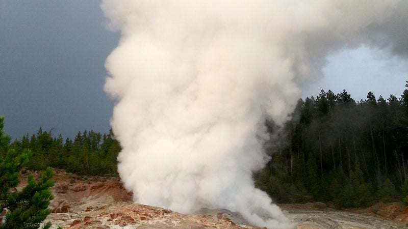 yellowstone national park