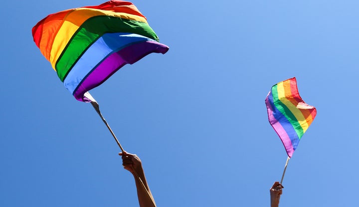 People wave rainbow flags.