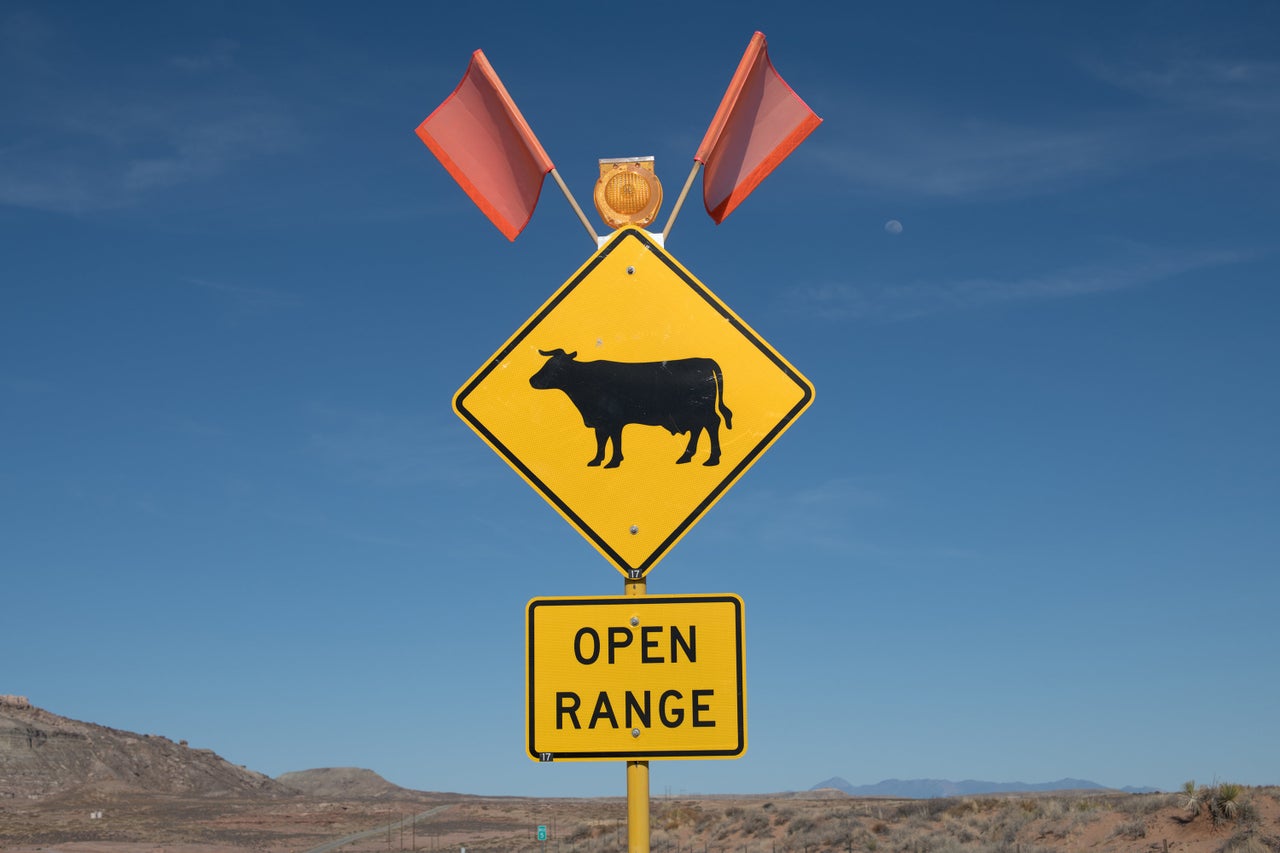 Open range cattle sign near Bluff, Utah.